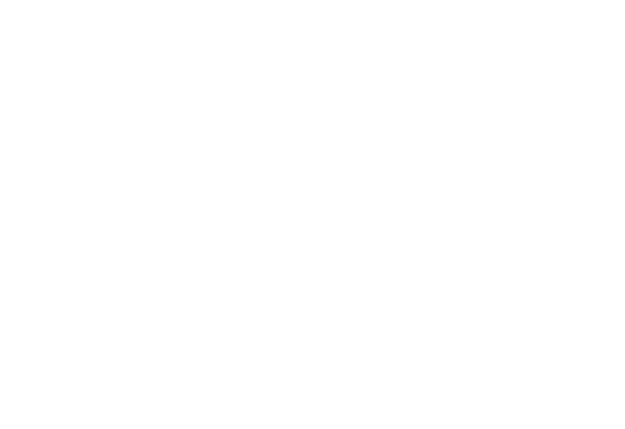 Trillium Wealth